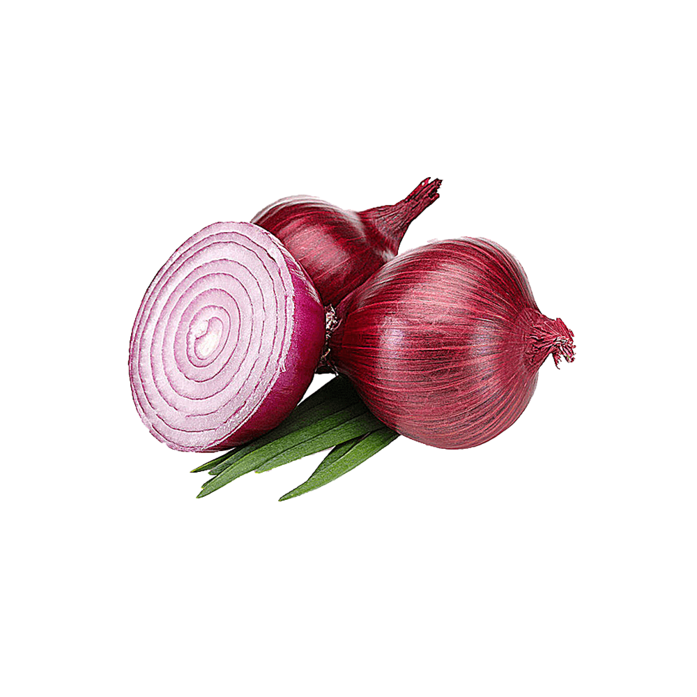 Onion
