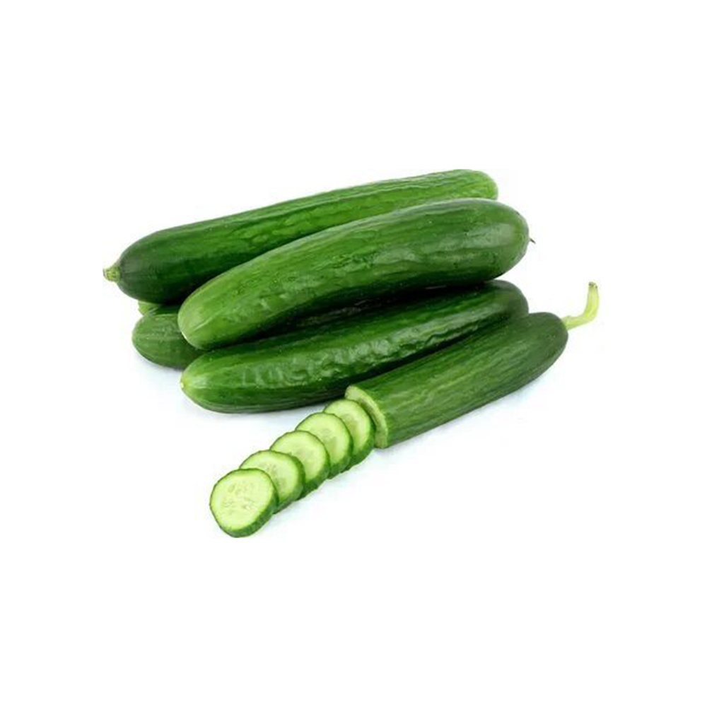 Cucumber